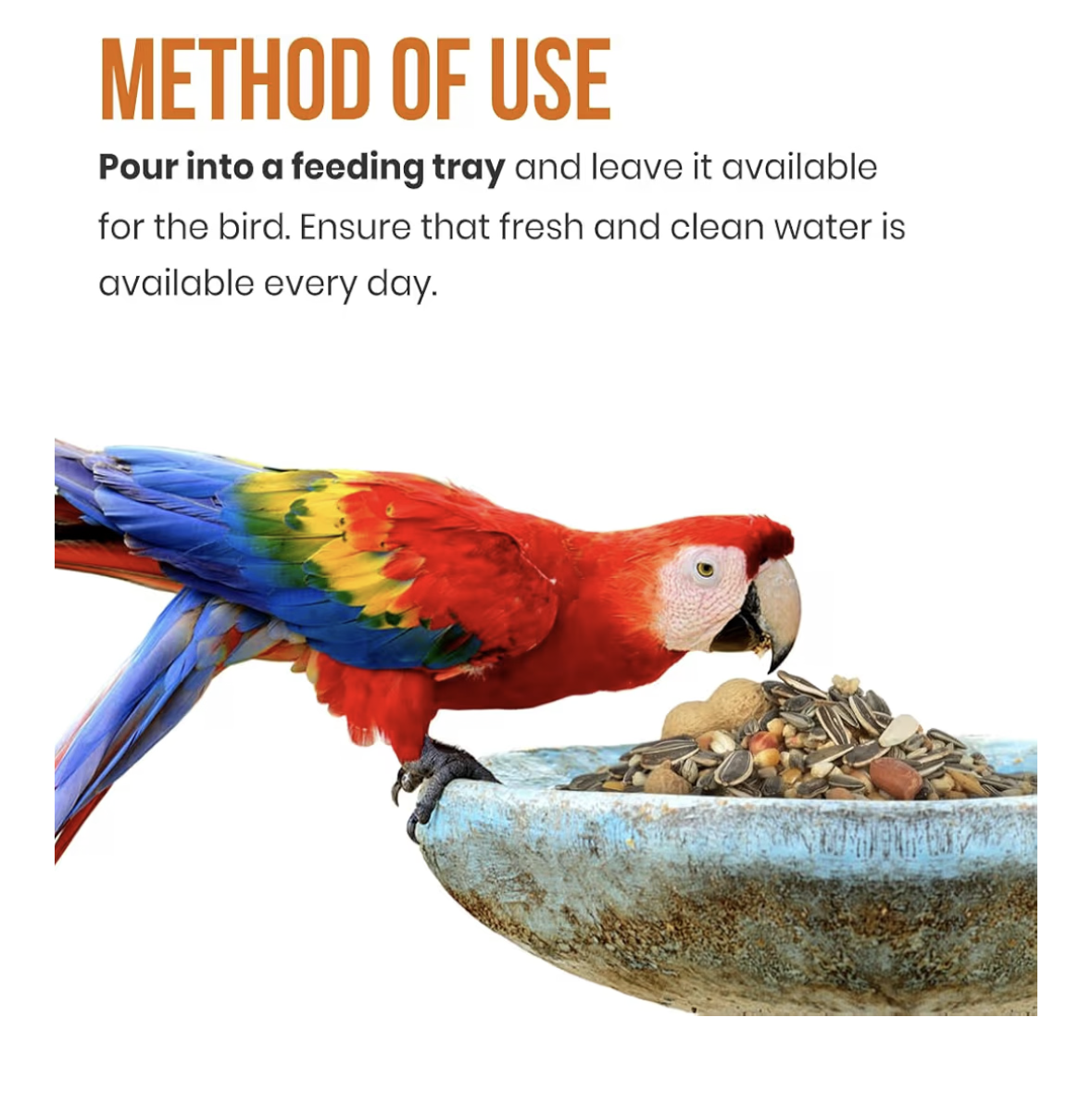 Brandsfinity 3kgs Premium Bird Feed for Parrots – Sunflower Seeds, Peanuts, Dried Fruits & Pellets – Nutritious Bird Food for Parrots, Ideal for a Healthy Diet