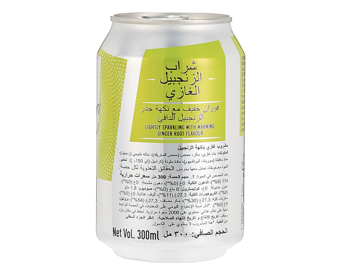 Britvic Ginger Ale 300 ml X 6
