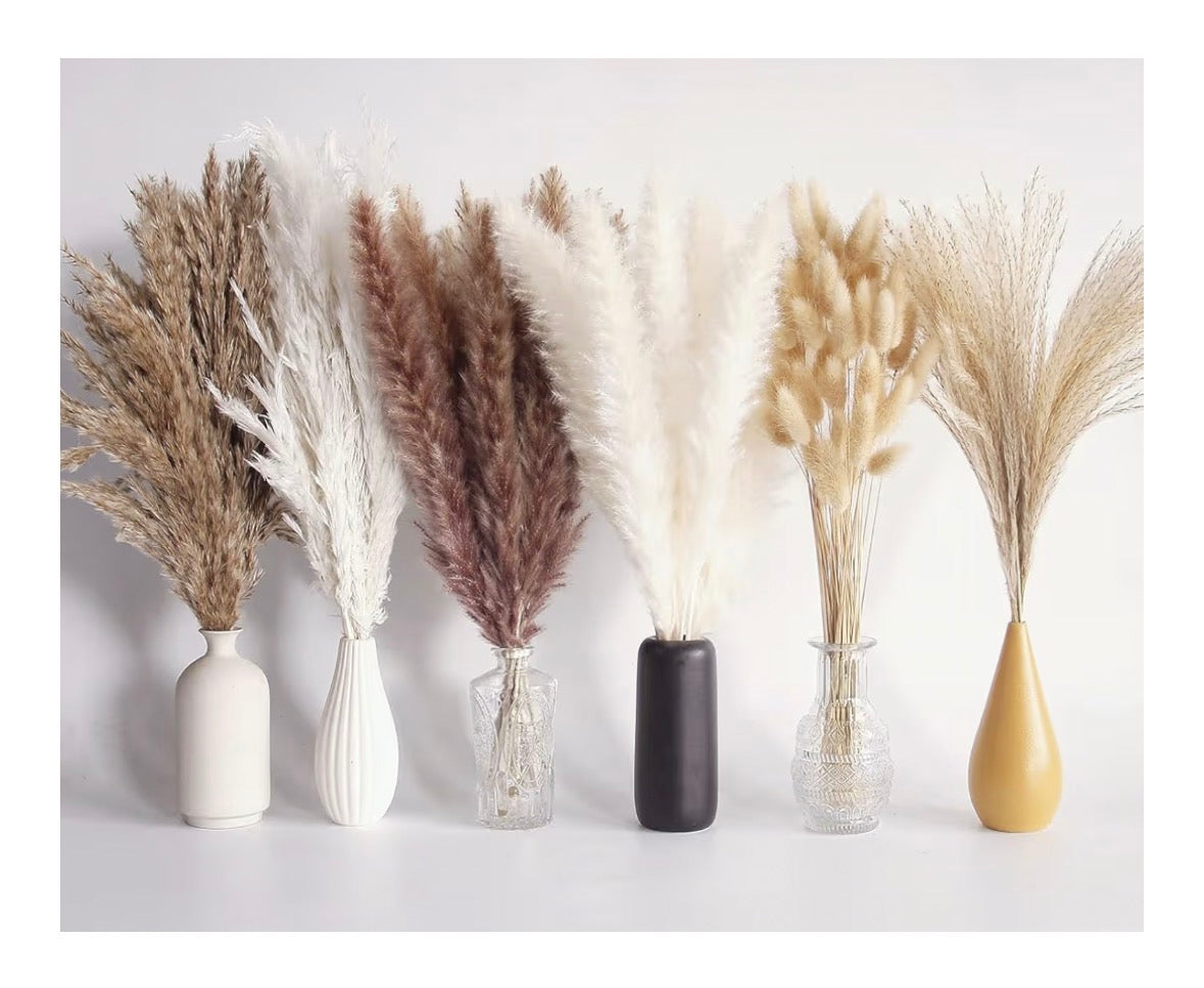 110 Pcs Dried Pampas Grass Bouquet, Bunny Tails & Pampas Grass, Brown & White, Boho Home Decor, Wedding & Party Decorations