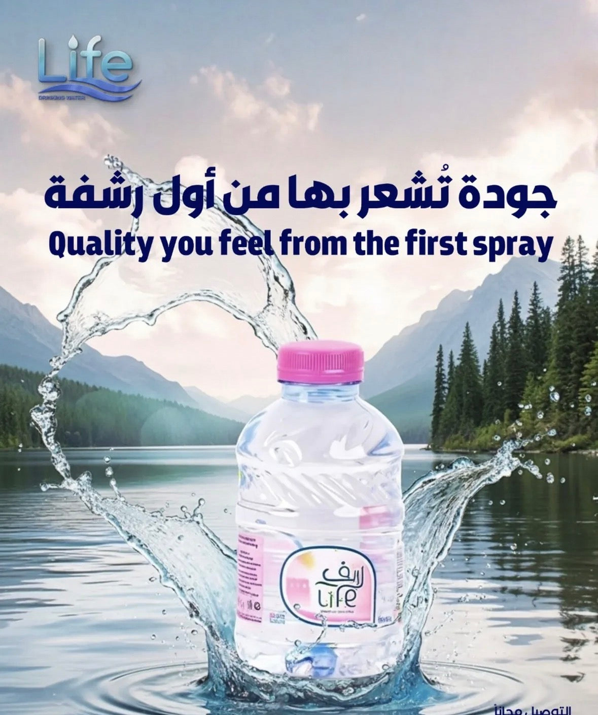 Life Drinking Water 30*250ml