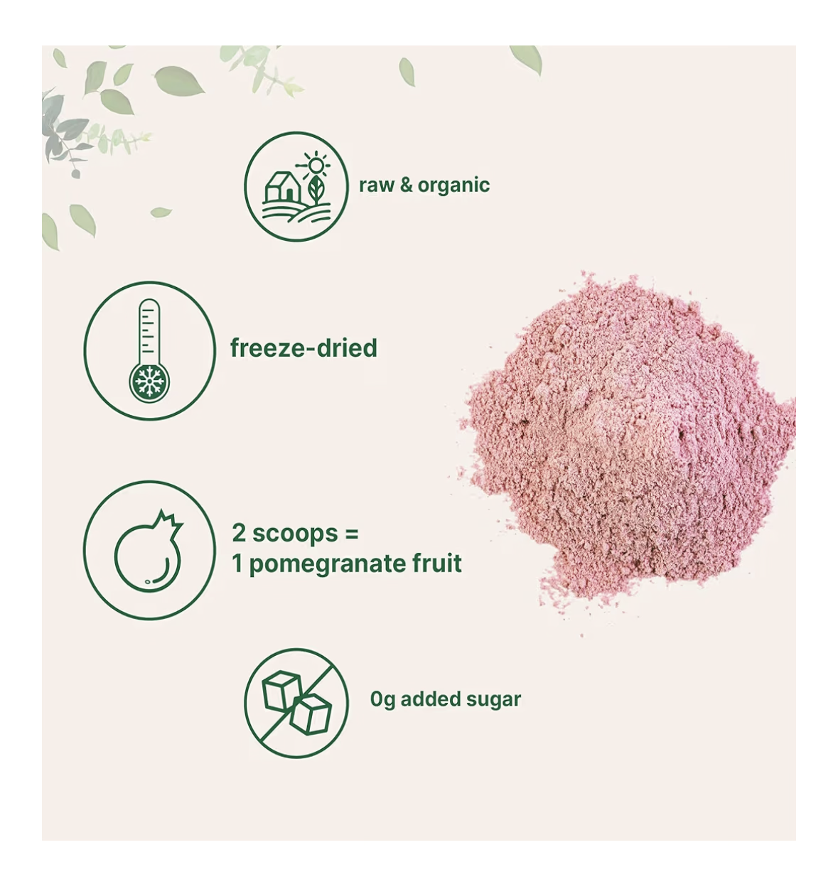 Organic Pomegranate Juice Powder, 1 Pound (91 Serving), Freeze Dried & Cold Pressed, Natural Vitamin C (Immune Vitamin), Support Immune System, Organic Flavor for Smoothie & Beverage, Vegan