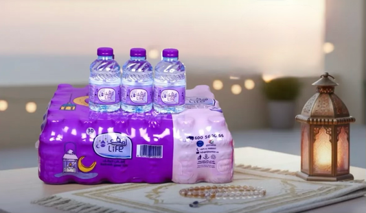 Life Drinking Water 30*250ml