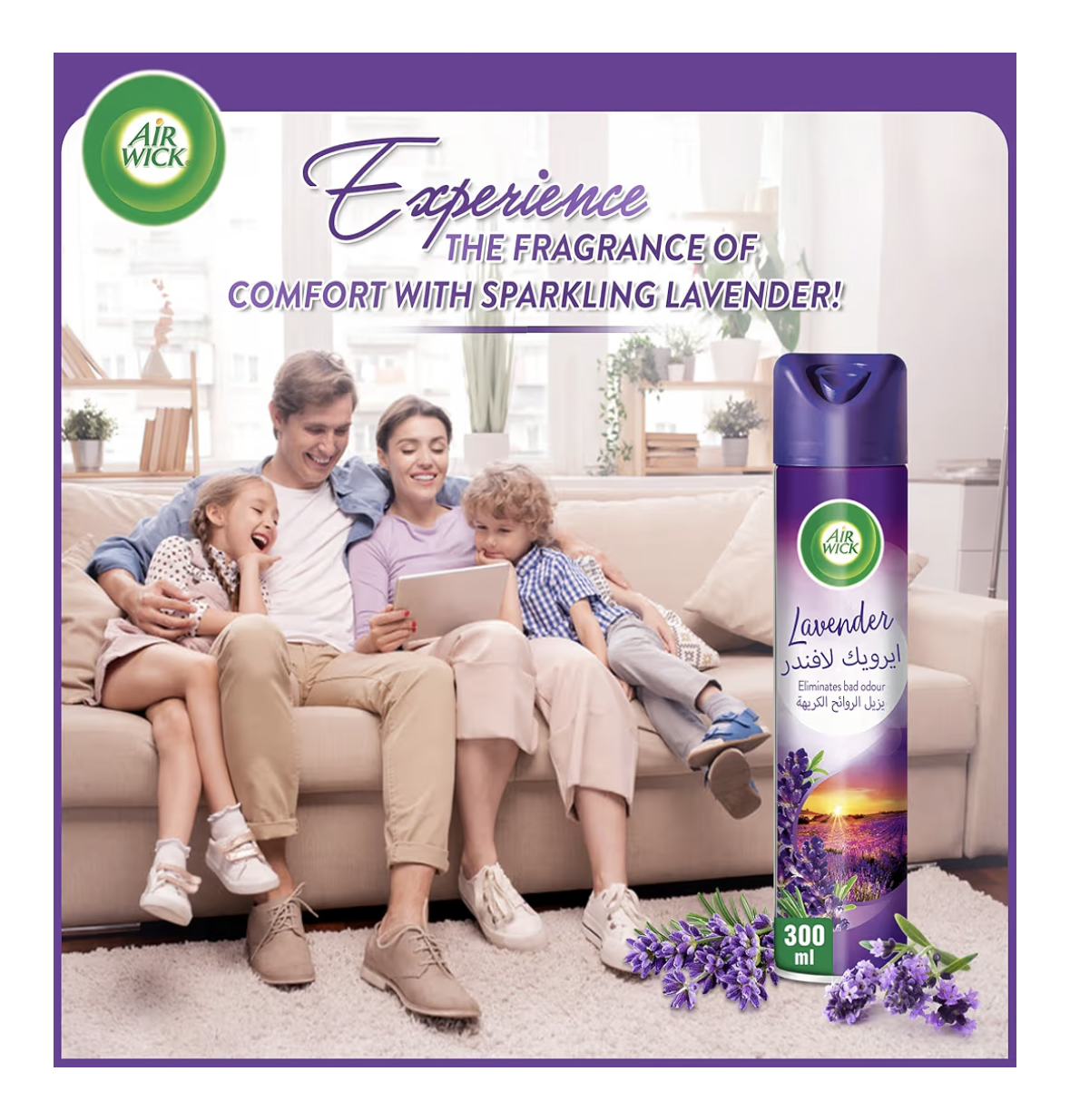 Air Wick Aerosol, Lavender Scent, 300ml, Pack of 3 Pcs