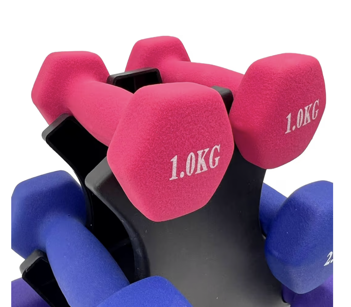 SKY LAND Dumbbell Rack Set with 2x1KG (Pink), 2x2KG (Blue), 2x3KG (Purple) Neoprene Hex Dumbbells – 12KG Home Gym Equipment, Anti-Roll Hand Weights for Strength Training & Fitness – EM-9373-12
