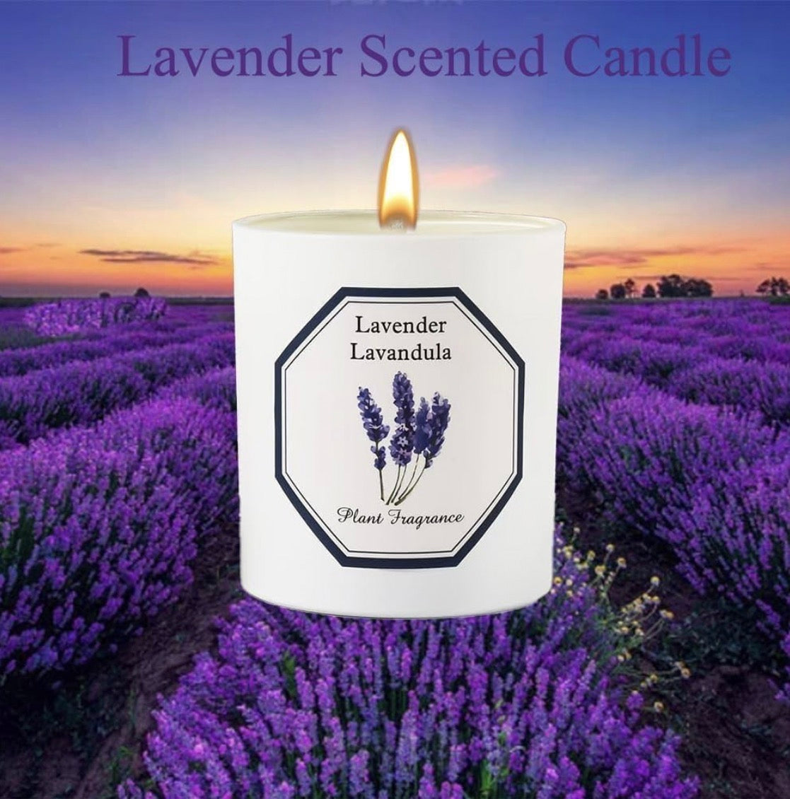 Lavender Scented Candles for Home, Natural Soy Wax Scented Candles for Home, Aromatherapy Candles for Relaxation, Stress Relief & Christmas Gifts, 6 oz 40 Hours Long Burning