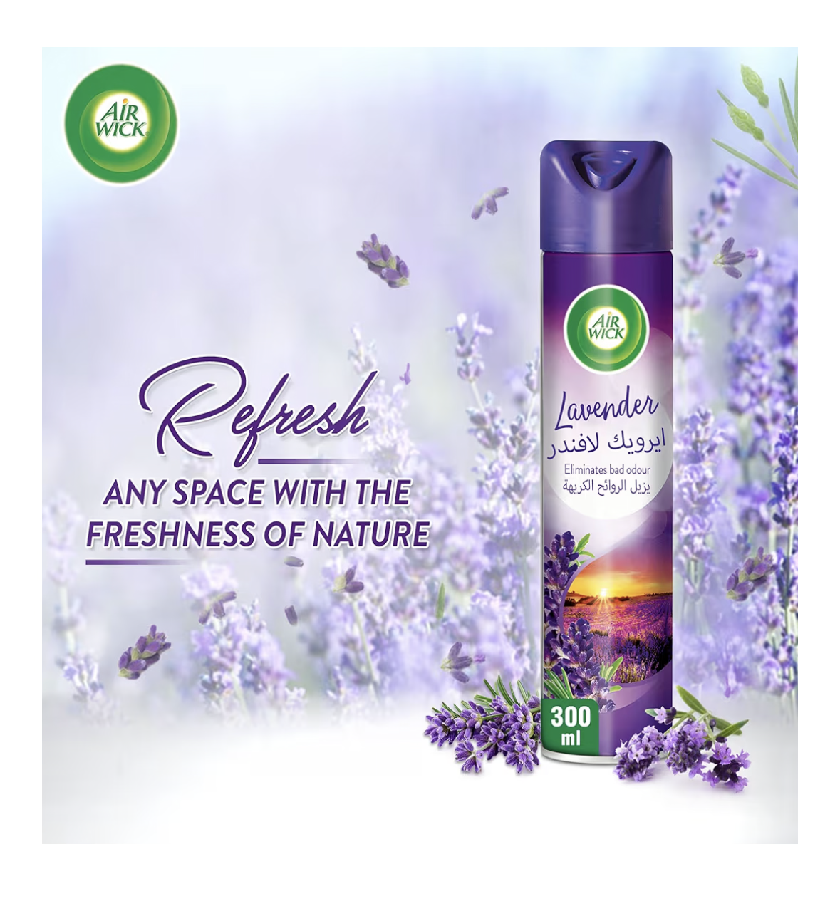 Air Wick Aerosol, Lavender Scent, 300ml, Pack of 3 Pcs