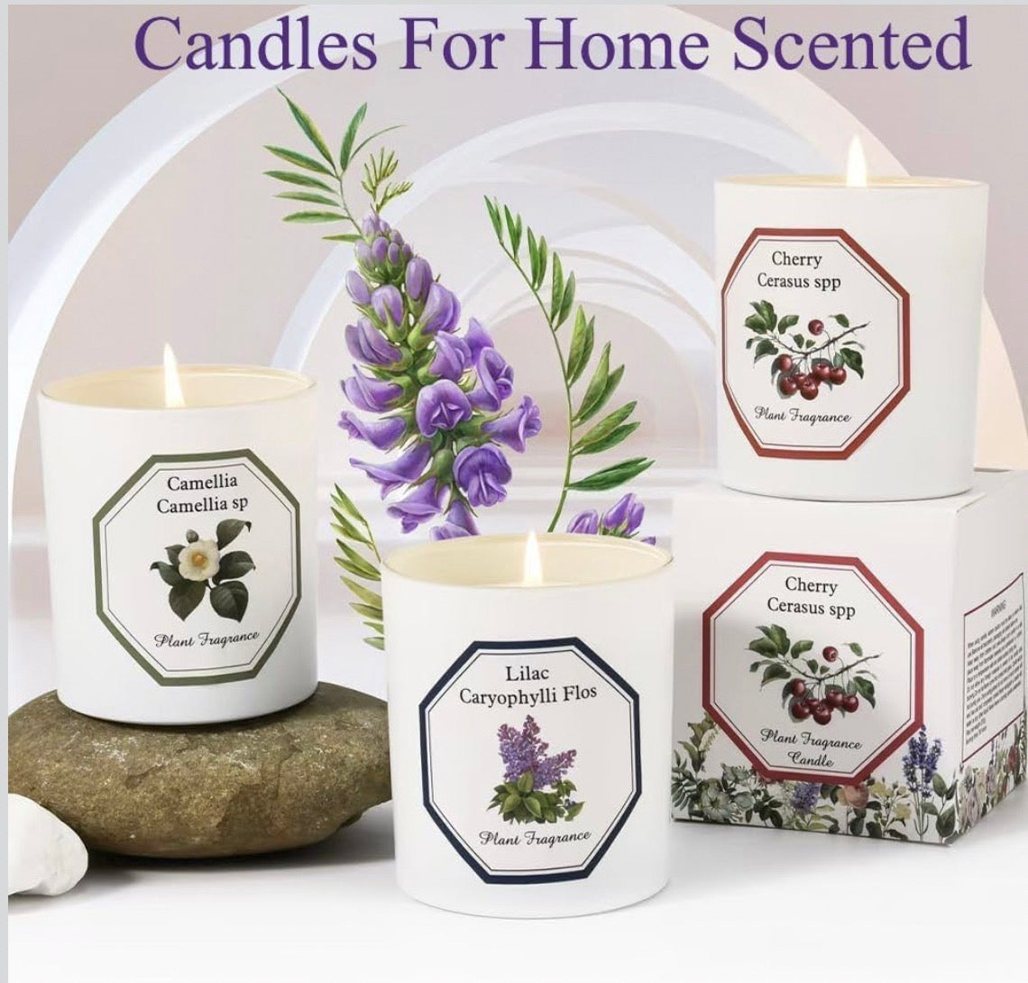 Lavender Scented Candles for Home, Natural Soy Wax Scented Candles for Home, Aromatherapy Candles for Relaxation, Stress Relief & Christmas Gifts, 6 oz 40 Hours Long Burning
